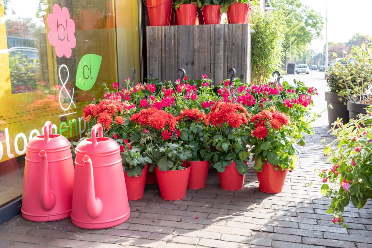 Foto van Bloem En Plant in Musselkanaal