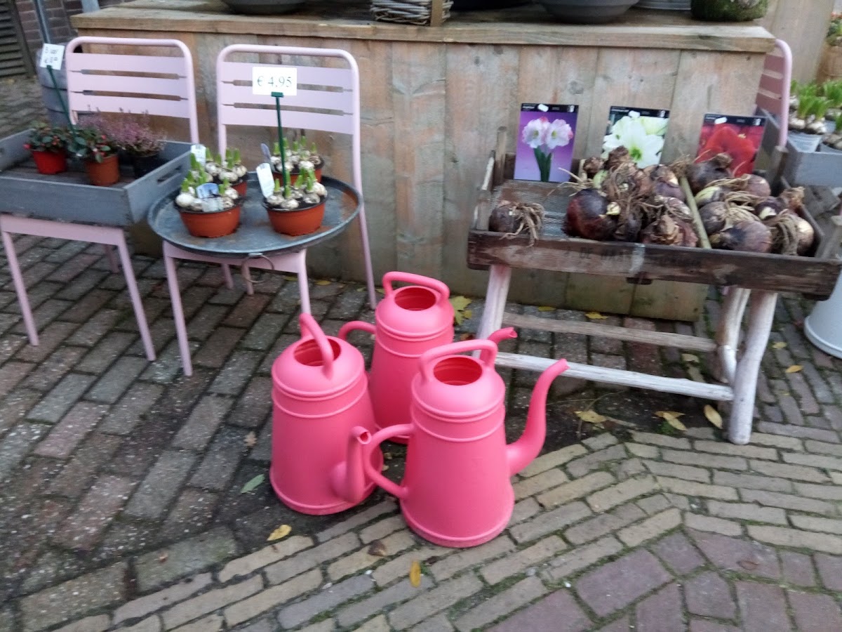 Bloemenpret