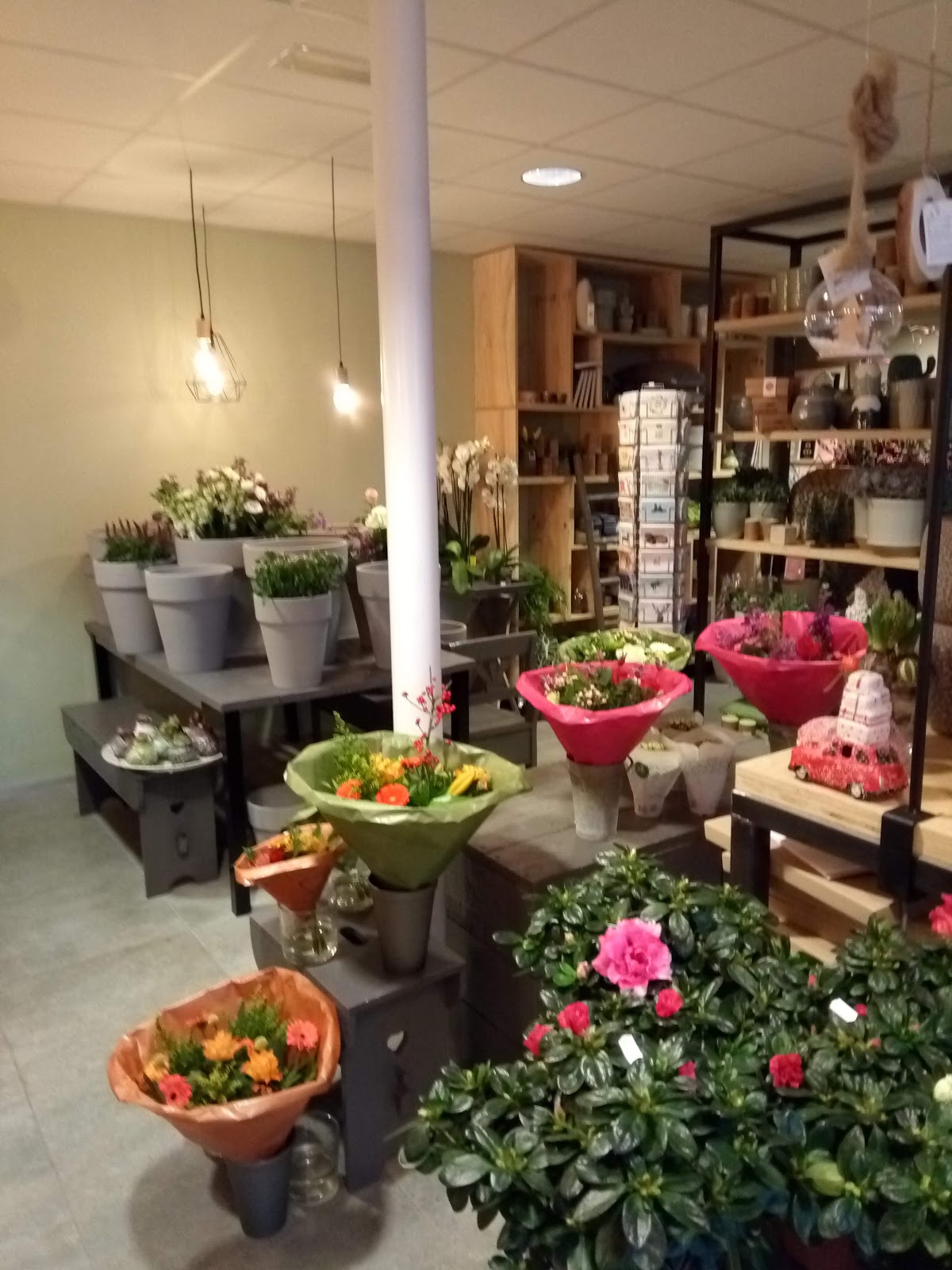 Foto van Bloemenpret in Peize