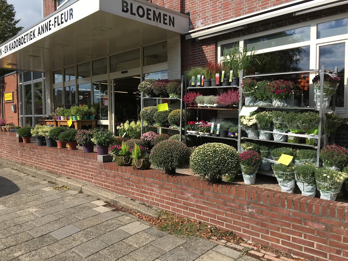 Bloemen en Kadoboetiek Agnes - Fleur