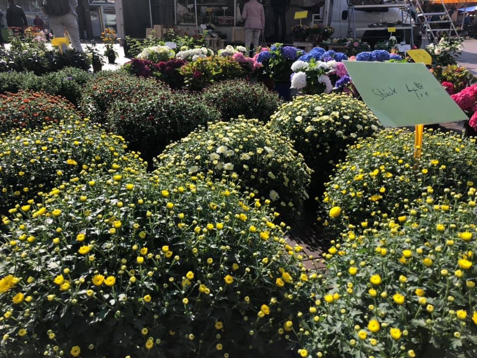 Foto van Bloemen en Kadoboetiek Agnes - Fleur in Vlagtwedde