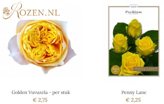 gele rozen bezorgen via rozen.nl