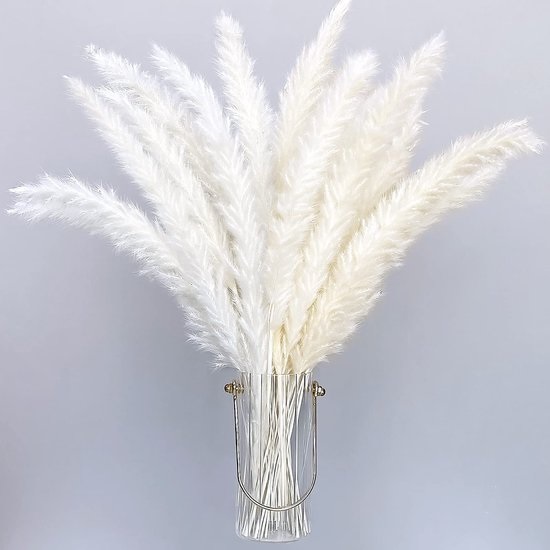Boho droogbloemen