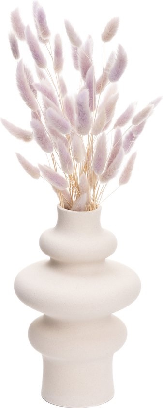 Droogbloemen vaas