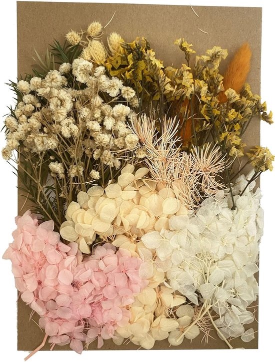 Gedroogde bloemenmix