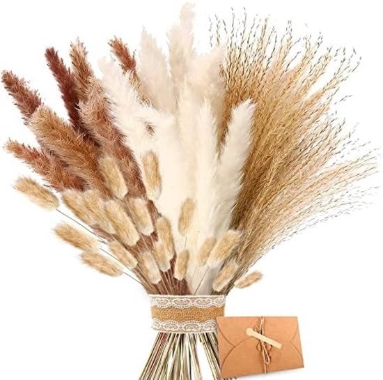 Gedroogde lagurus