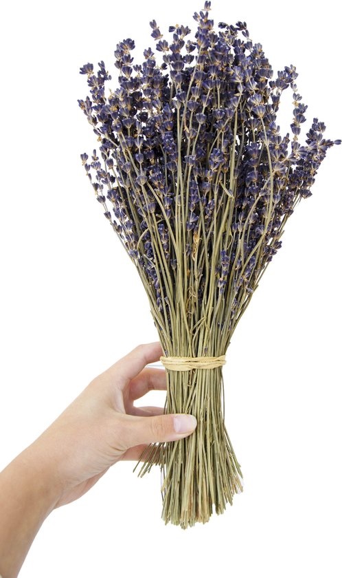 Gedroogde lavendel