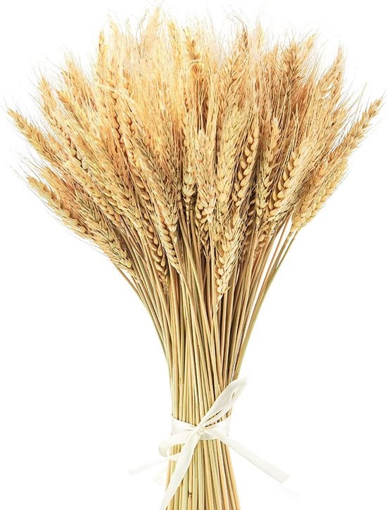 Gedroogde tarwe
