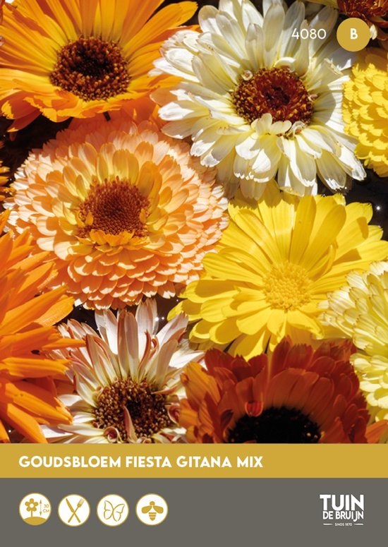 Goudsbloem zaden
