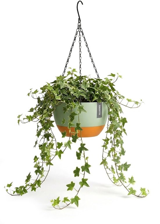 Hangpot