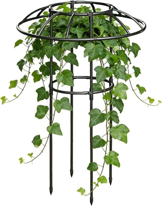 Klimplantsteunen