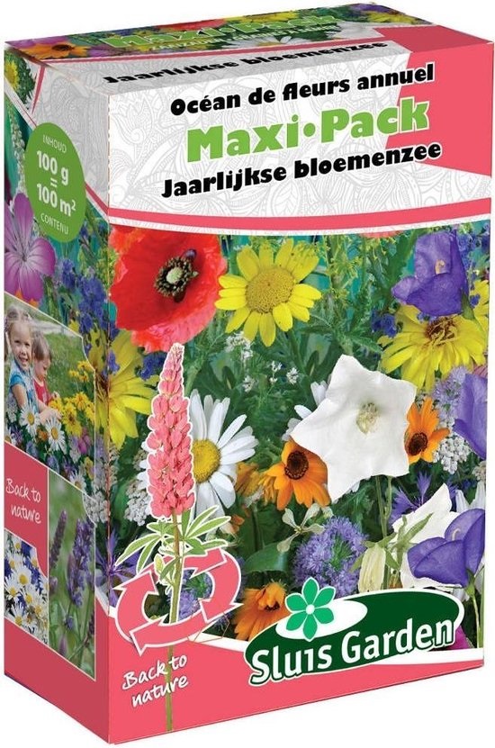 Meerjarige bloemen