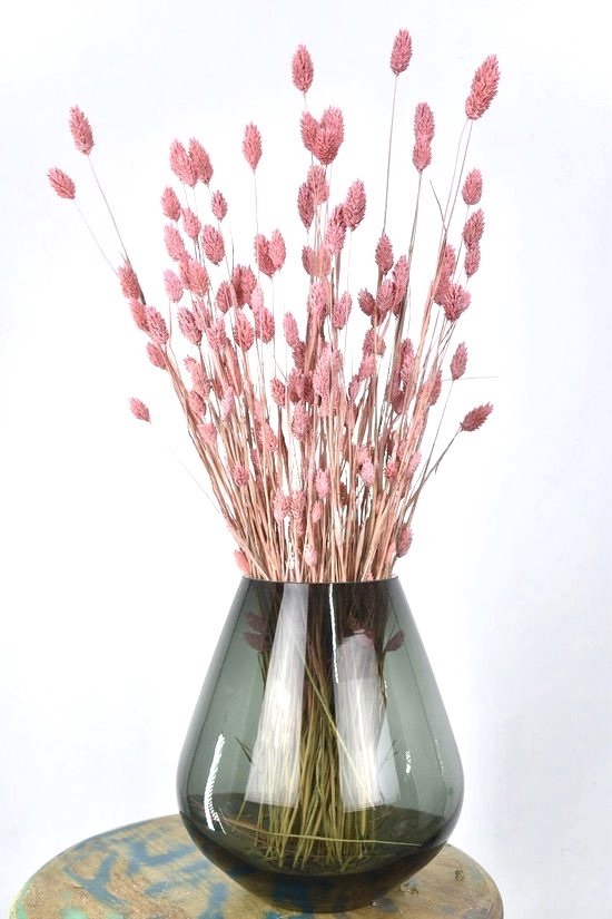 Roze droogbloemen
