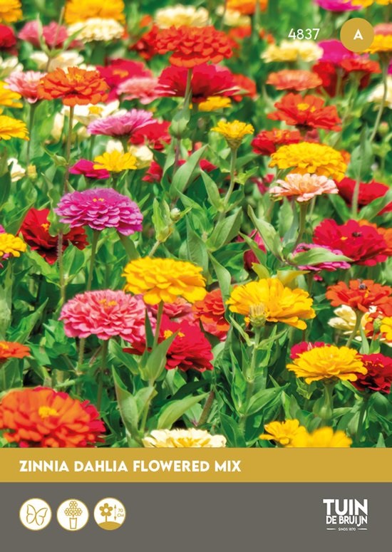 Snijbloemen zaden